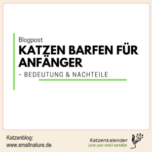 katzen-barfen-fuer-anfaenger