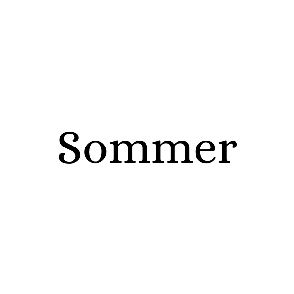 sommer-katze-blog