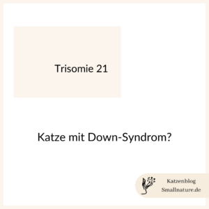 katze-mit-down-syndrom-trisomie21