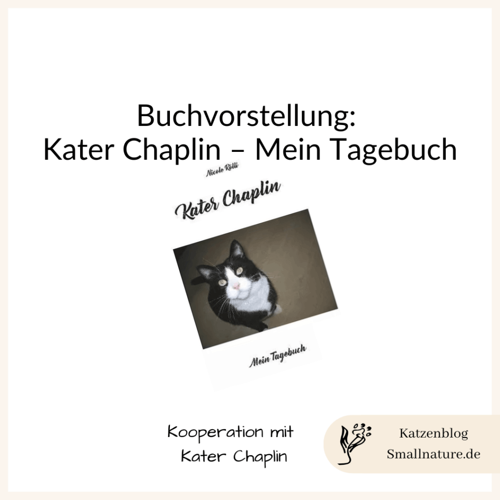 buchvorstellung-nicole-roelli-kater-chaplin