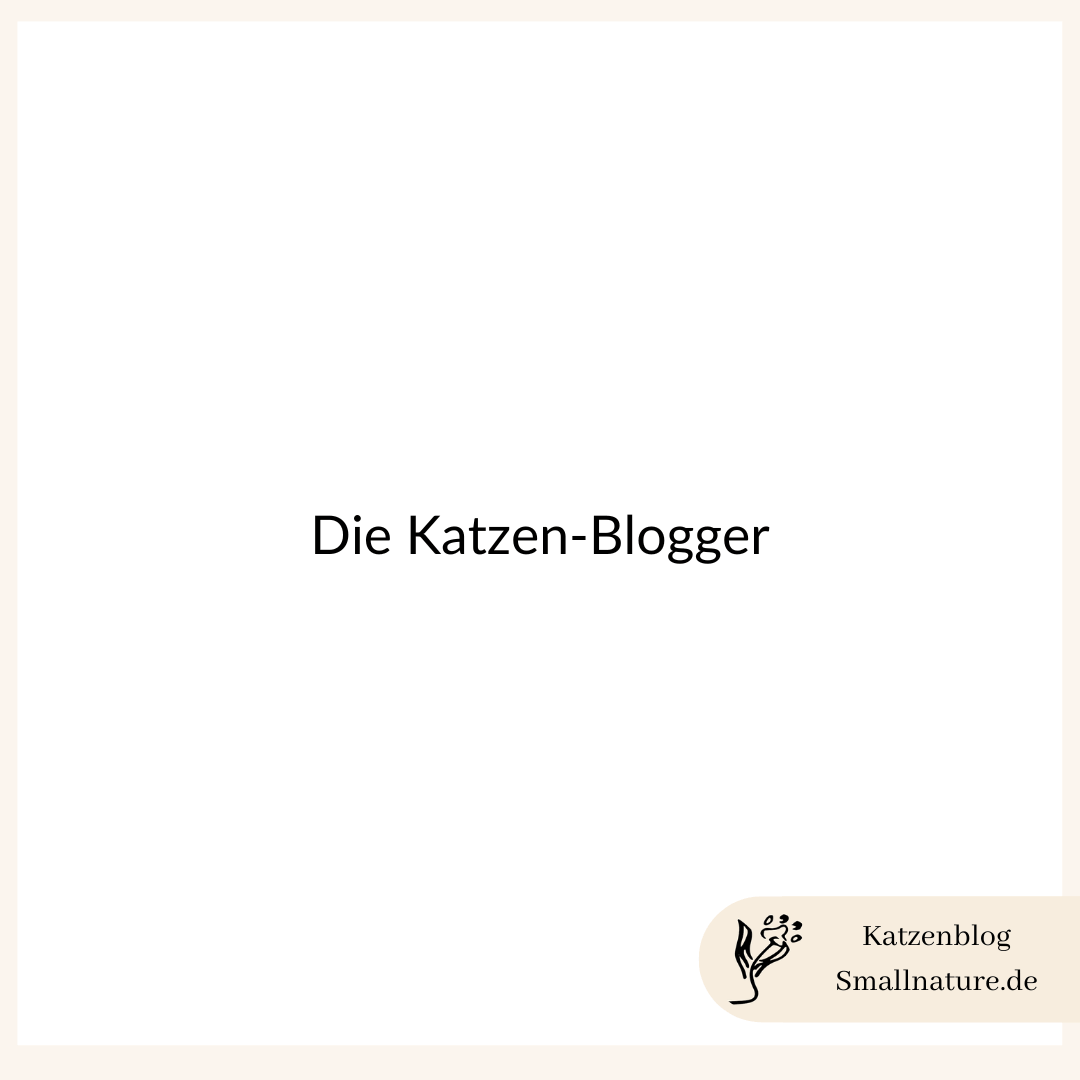 katzen-blogger